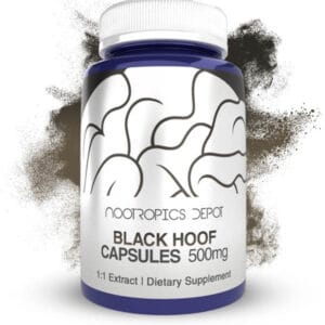 Black Hoof Mushroom Capsules