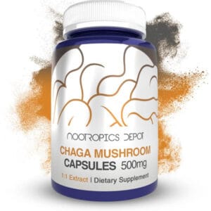 Chaga Mushroom Capsules