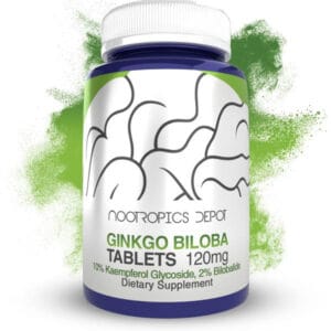Ginkgo biloba Extract Tablets