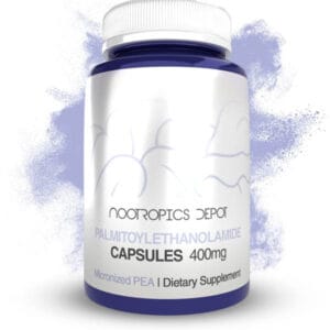 Palmitoylethanolamide Capsules | Micronized PEA