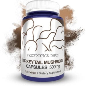 Turkey Tail Mushroom Extract Capsules