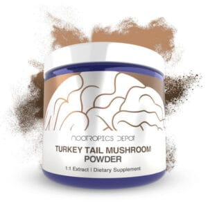 Boost your focus with Turkey Tail Mushroom Powder dietary supplement in a convenient jar.